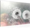 Runa Art Bild Pusteblume Modern Wandbilder Wohnzimmer Schlafzimmer 1 Teilig - Made In Germany - Blumenwiese Türkis Grau Flur 023615b