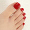 DANNI & TONI Halb ausgehärtete Gel Nagelfolien (Scarlet Delight) Scharlachrot Glänzend Gel Nagel Aufkleber, Pedi Wraps Fußnägel Nagelfolie Pediküre Wraps 37 Aufkleber