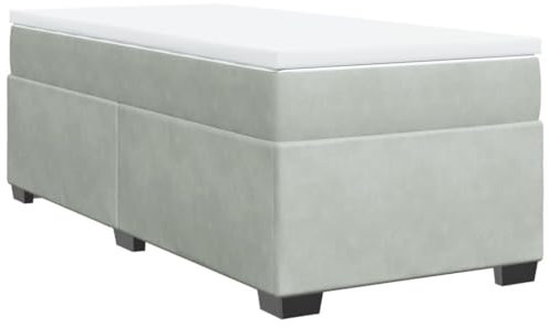 vidaXL Boxspringbett, Polsterbett Bett mit Matratze Matratzenauflage, Bettgestell mit Lattenrost, Einzelbett für Schlafzimmer, Hellgrau 100x200cm Samt