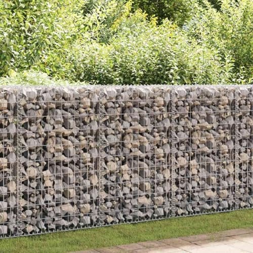 HOMTAKIE Panier de gabion Acier galvanisé 100x50x100 cm