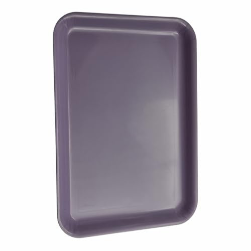 Plateaux de service Pastel - Plateaux rectangulaires en polypropylène - 36 x 26 cm - Couleurs assorties - Pour repas, collations et petit déjeuner au lit (violet)