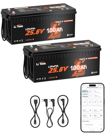 LiTime 2 Pièces Batterie Lithium 24V 100Ah Bluetooth Compatible avec Victron Système, Communication CAN/RS485, BMS 100A LiFePO4 4000+ Cycles Profondes, pour Camping-Car Caravane Système Off-Grid