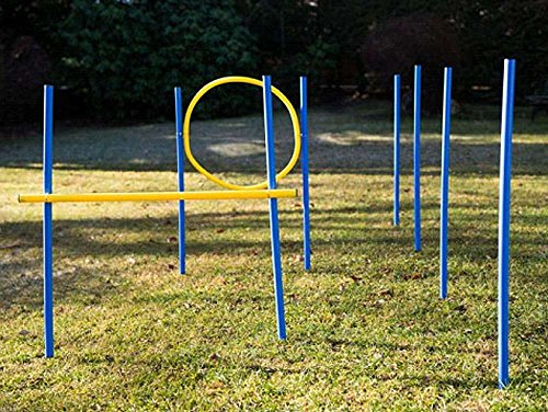 Procyon Dog Agility Trainings-Set 1 für Anfänger