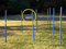 Procyon Dog Agility Trainings-Set 1 für Anfänger