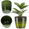 KADAX Flowerpot, fioriera, secchio di fiori rotondi in plastica, pentola per cactus, felci, stufato lucido per balcone, appartamento e terrazza (⌀ 16 cm, verde)