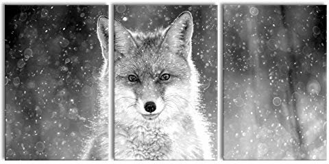 Pixxprint Roter Fuchs im Winter, Monochrome, XXL Leinwandbild in Übergröße 240x120cm Gesamtmaß 3 teilig/Wandbild/Kunstdruck