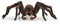 Schleich 13987 Aragog, dès 6 Ans, Wizarding World - Figurine, 17 x 8 x 14 cm