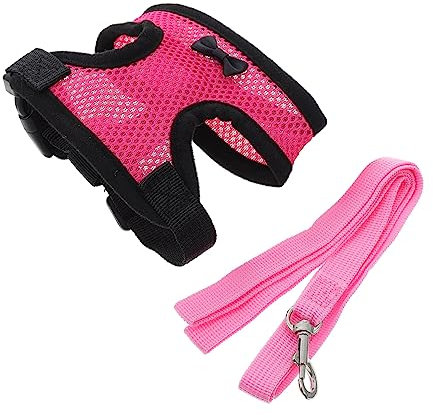 BESPORTBLE Verstellbares Huhn Geschirr Mit Leine Pet Hahn Geschirr Outdoor Hen Leine Haustier-hahngeschirr Hühnerleine Haustier-hahn- Hühner-Outdoor-