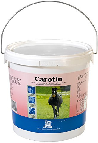 Horslyx Standard