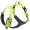 TRUE LOVE Hundegeschirr Outdoor Adventure II Reflektierende Weste mit 2 Leinenbefestigungen passende Leine und Halsband erhältlich TLH6071