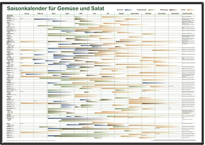 Saisonkalender für Gemüse und Salat - 70x50cm Poster