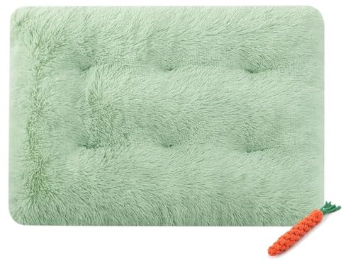 FANSU Dog Bed Mat Cats Beds Pad, Soft Warm Self Heating Pet Pad Plush Blanket for Puppy Kitten Washable Reversible for Indoor Outdoor Car Boot (S-55X40CM,Sage Green)