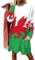 Flag of Wales Women's Casual Sweatshirt Long Sleeve Pullover Tops Loose Fit Swing Dress