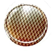 10 X JAM JAR CAP LIDS TWIST OFF - 53mm. IDEAL FOR ANY TYPE OF PRESERVES,HONEY,JAM,MARMALADE,CHYTNEYS,THE LIDS ARE ACID PROOF. (Beehive Gold)