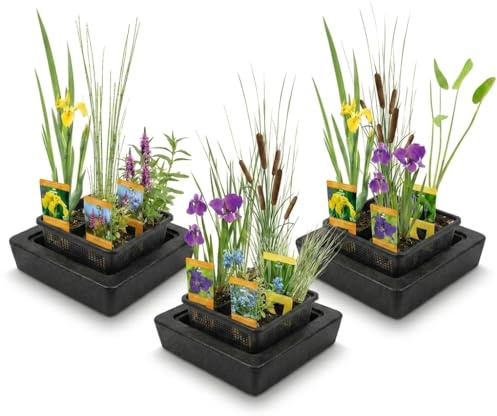 vdvelde․com - Plantas de estanque 12 uds, 3 cestas y 3 aros flotantes
