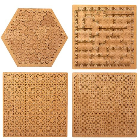Fractal Tray Puzzles, Hard Difficult Wooden Jigsaw Puzzles for Adults, Portable Curve Puzzle, Unique Irregular Creative Labyrinth Game, Challenging No-Image Puzzle (A+B+C+D)