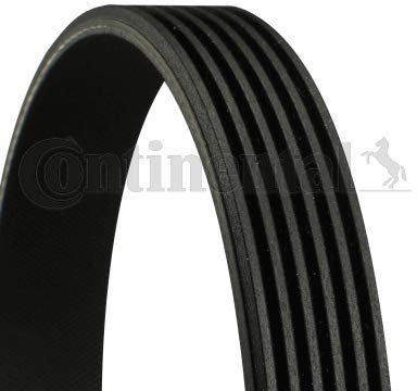 Contitech 6747509736 Belt Grooved