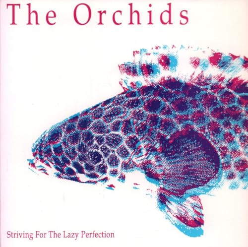 Striving For The Lazy Perfection