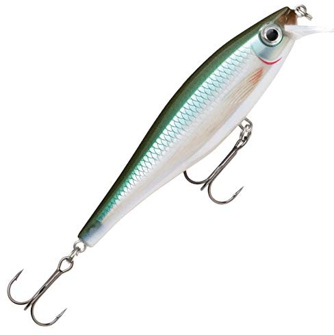 Rapala - BX Minnow Angelköder - Angelzubehör aus Balsaholz - Süßwasser Spinnköder - Friedfische und Raubfische - Lauftiefe 0.6-1.2m - Fischköder 7cm, 7g - Hergestellt in Estland - Blue Back Herring