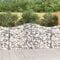 Camerina Gabionen mit Hochbogen 4 STK. 200x50x100/120cm Verzinktes Eisen Zaun Gabionen WasserzapfsäUle Garten Pflanzsteine Beton Garten Stapelbar Gabionenzaun Gabionen
