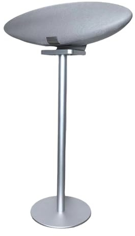 ZGOUO Le Support d'enceinte est Compatible avec Les Enceintes Bowers&Wilkins Zeppelin（5e et 6e générations partagées Fabriqué en Alliage d'aluminium Design encastré, Alimentation cachée (Argent 1PCS)