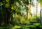 wandmotiv24 Fototapete Wald Wiese Bäume, XL 350 x 245 cm - 7 Teile, Wanddeko, Wandbild, Wandtapete, Grün, Baum, Natur M5673