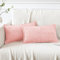 Artscope 2er Set Kordsamt Kissenbezüge Samtkissen Weich Dekokissen Dekorativ Kissenbezug Modern Kissenhülle Umwickelte Kante Sofakissen für Wohnzimmer Schlafzimmer Rosa, 30x50cm