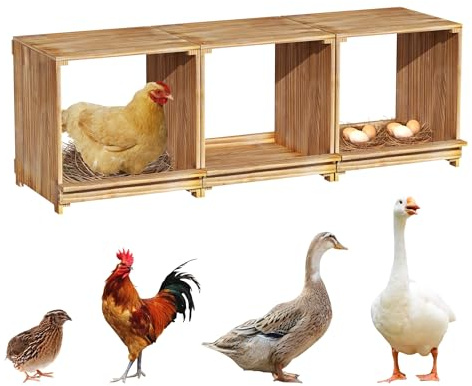 BingoPaw Legenest Holz Hühnernistkästen, große Legenest mit 3 Nistboxen für Hühner und Enten 105 x 36 x 35 cm, Naturholz