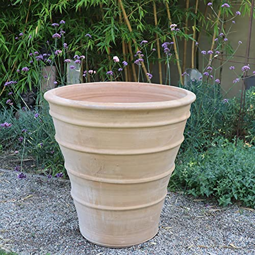 Kreta Keramik Maceta de terracota hecha a mano, resistente a las heladas y a la intemperie, altura de 35 cm, Yucca