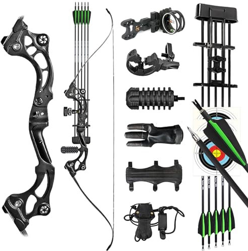 ZSHJGJR 30 40 lbs Ensemble Arc Recurve Démontable 64 Pouces Arc Recurve Ensemble de tir à l'arc Arc Recurve pour Adultes Kit Complet de Tir à l'arc avec Flèches Arc Recurve de Chasse (40 lbs)