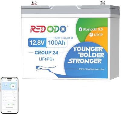 Redodo 12V 100Ah Group24 Bluetooth Batterie LiFePO4,Batterie Lithium Protection BMS 100A Améliorée pour l'Arrêt en Cas de Basse Température,Petite Batterie LiFePO4 pour Camping-Cars,Camionnettes
