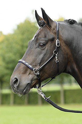 Busse Lederhalfter Nobility Pony schwarz/Strass-blau