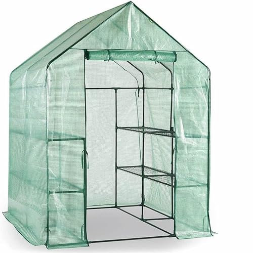 Escala Serre en verre - 143 x 143 x 195 cm - Vert