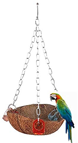 Natürliche Kokosnussschale Vögel Schaukel Spielzeug Höngender Korb Sling Mit Acrylringen für Eichhörnchen Papagei Wellensittich Sittich Nymphensittich Conure Lovebird Finch Cockatoo