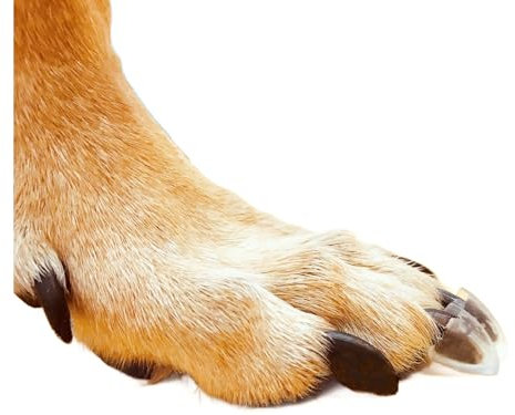 Dr. McHenry's Dog Toe Treads, Set of 20 w/Adhesive & Cleaning Brush, Increased Traction & Stability on Slippery Floors, Senior Dog Traction & Mobility Support (Large Kit- Weight: 40-60 lbs.)