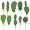 Woohome 10 PCS Plantes Succulentes Artificielles Mixtes Faux Cactus Artificielle Cactus pour Lotus Paysage décoratif Arrangement de Jardin Décor