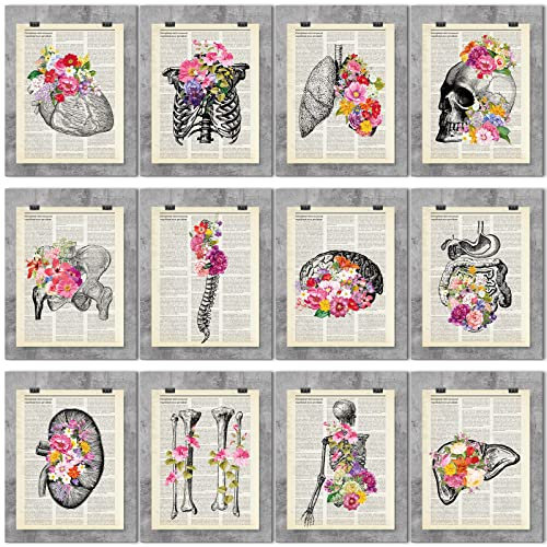 12-teiliges medizinisches Wörterbuch-Kunst-Set, 20,3 x 25,4 cm, Anatomie-Dekor, Vintage-Stil, florales menschliches Wanddekor für Arzt, Büro, Klinik, Schule, Klassenzimmer, Geschenk für