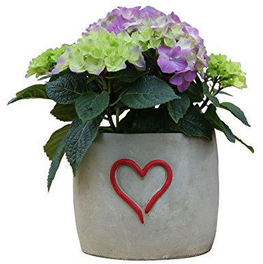 Schöner Zement Blumentopf mit Herz Blumenkübel Pflanzenkübel Pflanzgefäße rund Rot