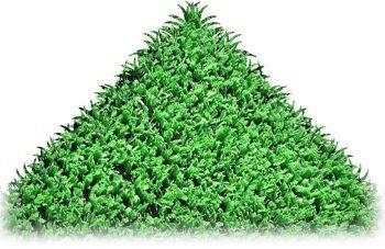 2m x 3m Preston 6mm Pile Height Artificial Grass | Natural & Realistic Looking Astro Garden Lawn | 9 ft 10 Inch x 6 ft 5 Inch | 300cm x 200cm | 118 x 79 Inches | High Density Fake Turf