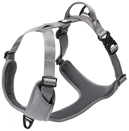 TRUE LOVE Hundegeschirr Outdoor Adventure II, reflektierende Weste mit 2 Leinenbefestigungen, passende Leine und Halsband, erhältlich in Grau