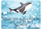 Mr. & Mrs. Panda DIN A3 Blechschild Orca - Geschenk, Wandschild, Wal, Killerwal, Metallschild, Motivation, Geschenk Schild, Meerestiere, Urlaub,