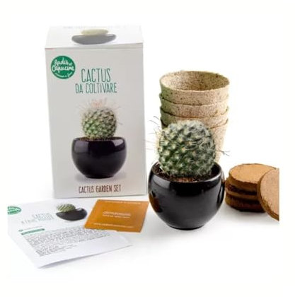 Radis et Capucine - Garden set - Cactus zen