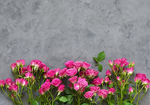 wandmotiv24 Fototapete Rosa Rosen, 400 x 280 cm - selbstklebende Strukturtapete, Wanddeko, Wandbild, Wandtapete, Beton-wand, Blumen M1033