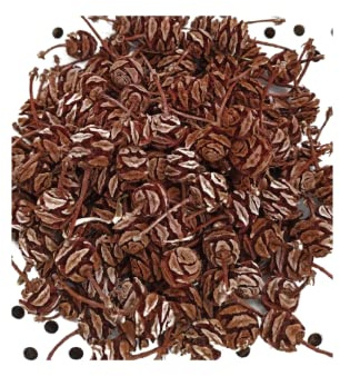ca. 70g Tannenzapfen Weihnachten, Natur Zapfen Mammutbaum Mini-Größe, Deko Winter Weihnachtsdeko