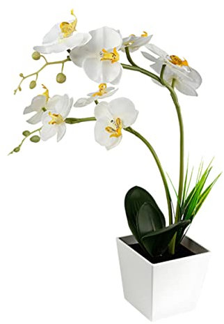 Zerodeko Batteriebetriebene Led Orchideenblumen Lampe Mit Verstellbaren Drahtstielen Künstliche Weiße Orchidee Für Wohnzimmer Schlafzimmer Romantische Dekoration Tragbares Blumenlicht Ohne