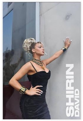 HACERR Shirin David-Poster auf Leinwand, Schlafzimmer, Dekoration, Landschaft, Büro, Raumdekoration, Geschenk, 30 x 45 cm