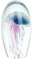 ROCKING GIFTS Ovaler Briefbeschwerer aus Glas mit Qualle in pink und blau, leuchtet im Dunklen, Elegante Tischdekoration für Schreibtisch, Büro, Eingangshalle, Eingangshalle, 16 cm