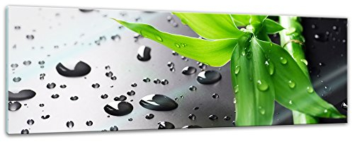 Bilderdepot24 Glasbild - Frischer Bambus - 90x30 cm - Deko Glas - Wandbild aus Glas - Bild auf Glas - moderne Bilderdepot24 Glasbilder - Glasfoto - Echtglas