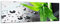 Bilderdepot24 Glasbild - Frischer Bambus - 90x30 cm - Deko Glas - Wandbild aus Glas - Bild auf Glas - moderne Bilderdepot24 Glasbilder - Glasfoto - Echtglas