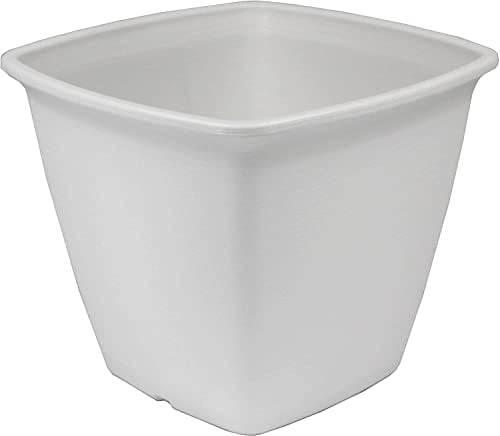 Iris Ohyama, Pot pour plantes Jardinière carrée avec système de drainage/réservation de l'eau pour le jardinage - Square Plant Pot 300, Blanc